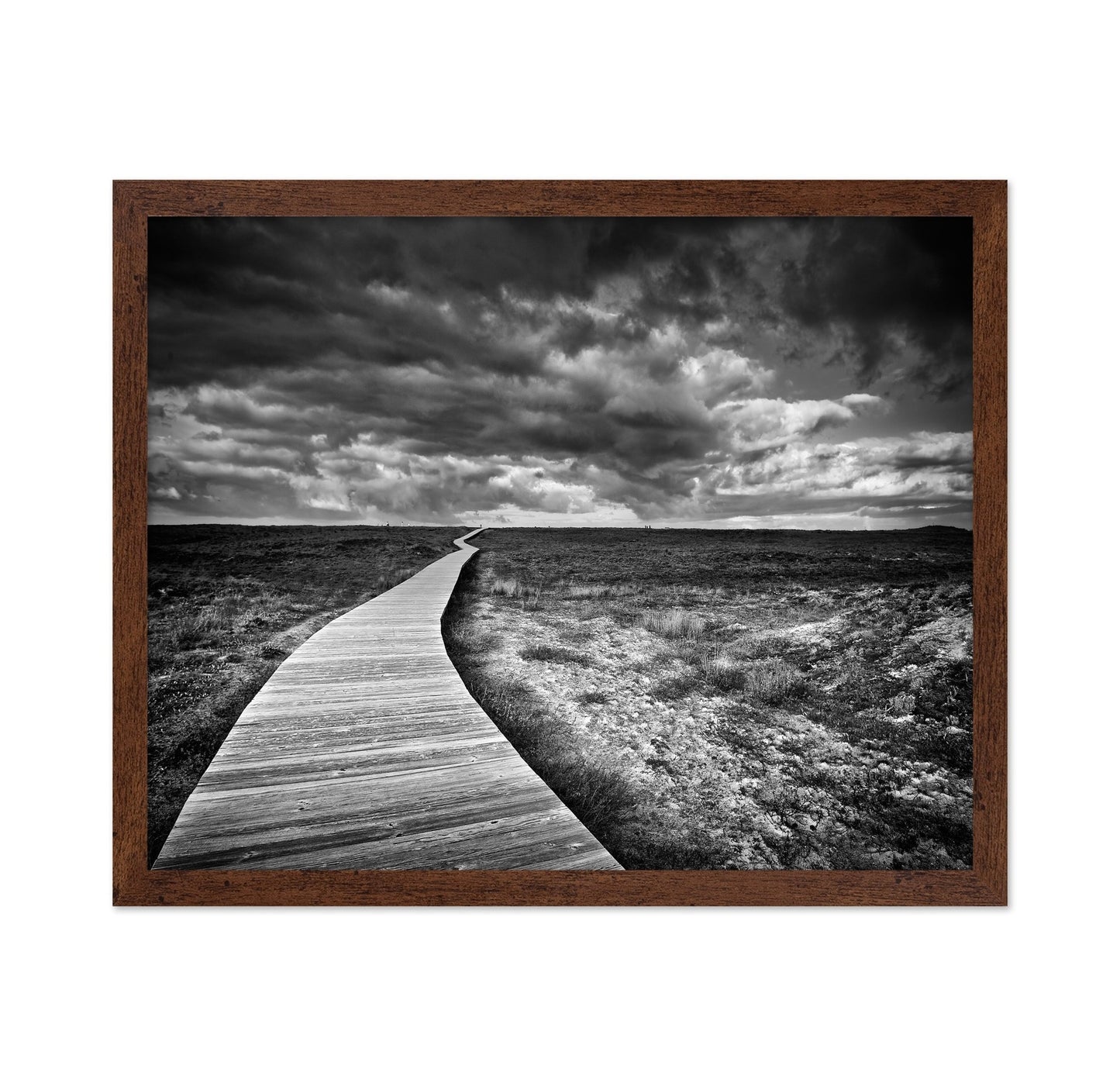 Endless Boardwalk Path