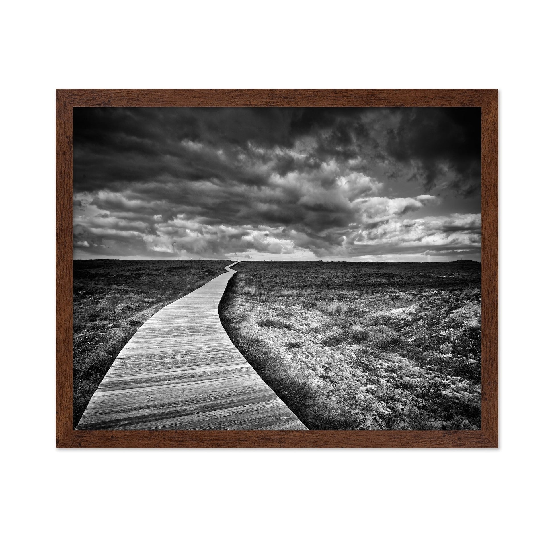 Endless Boardwalk Path