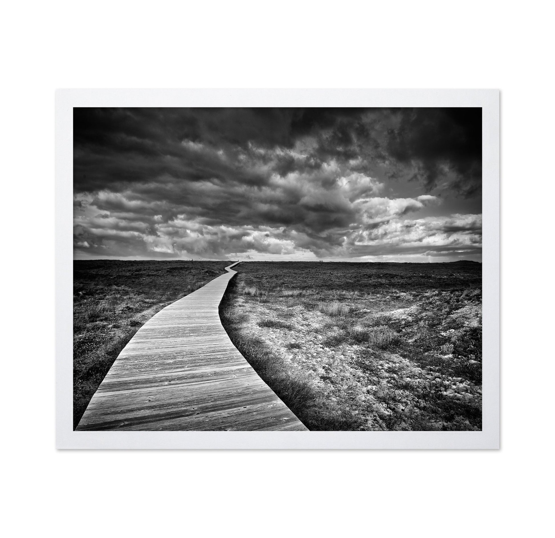 Endless Boardwalk Path