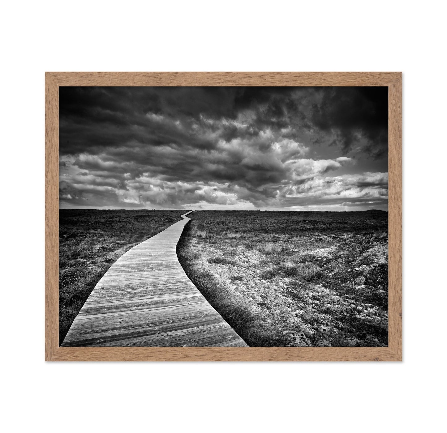 Endless Boardwalk Path