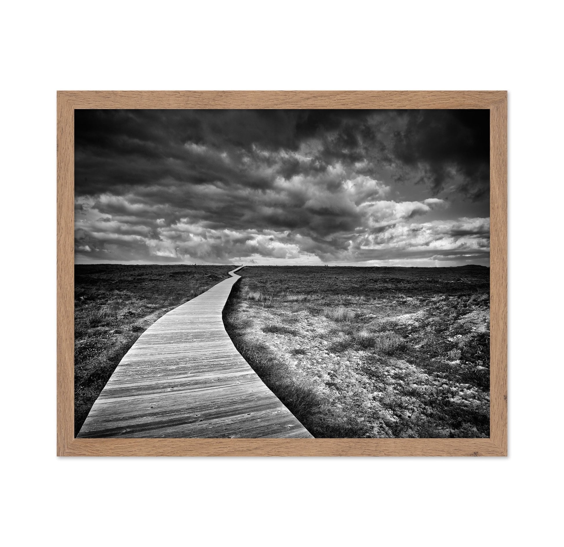 Endless Boardwalk Path