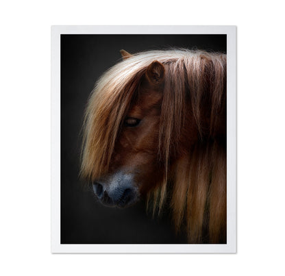 Chestnut Pony Portrait
