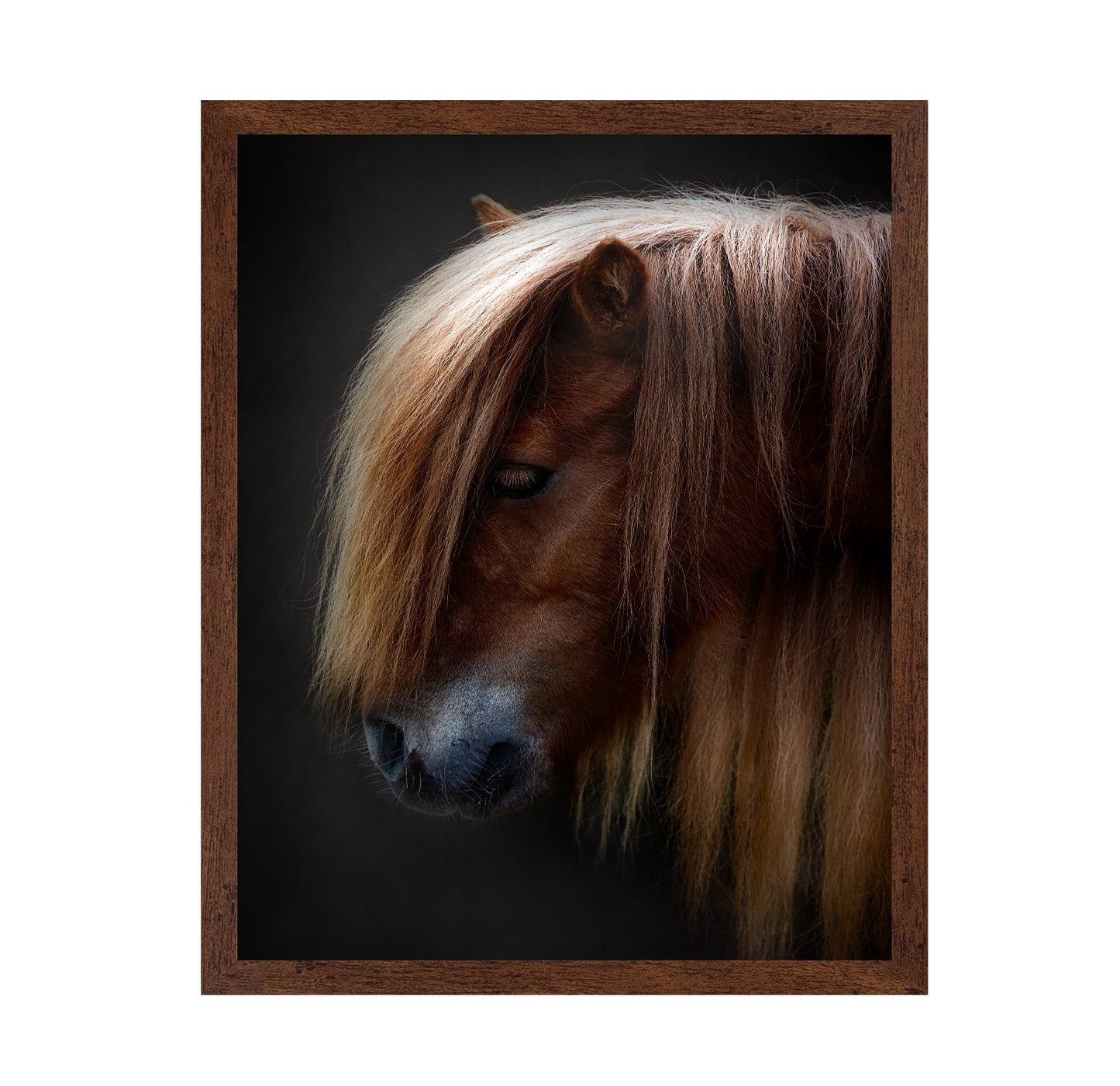 Chestnut Pony Portrait