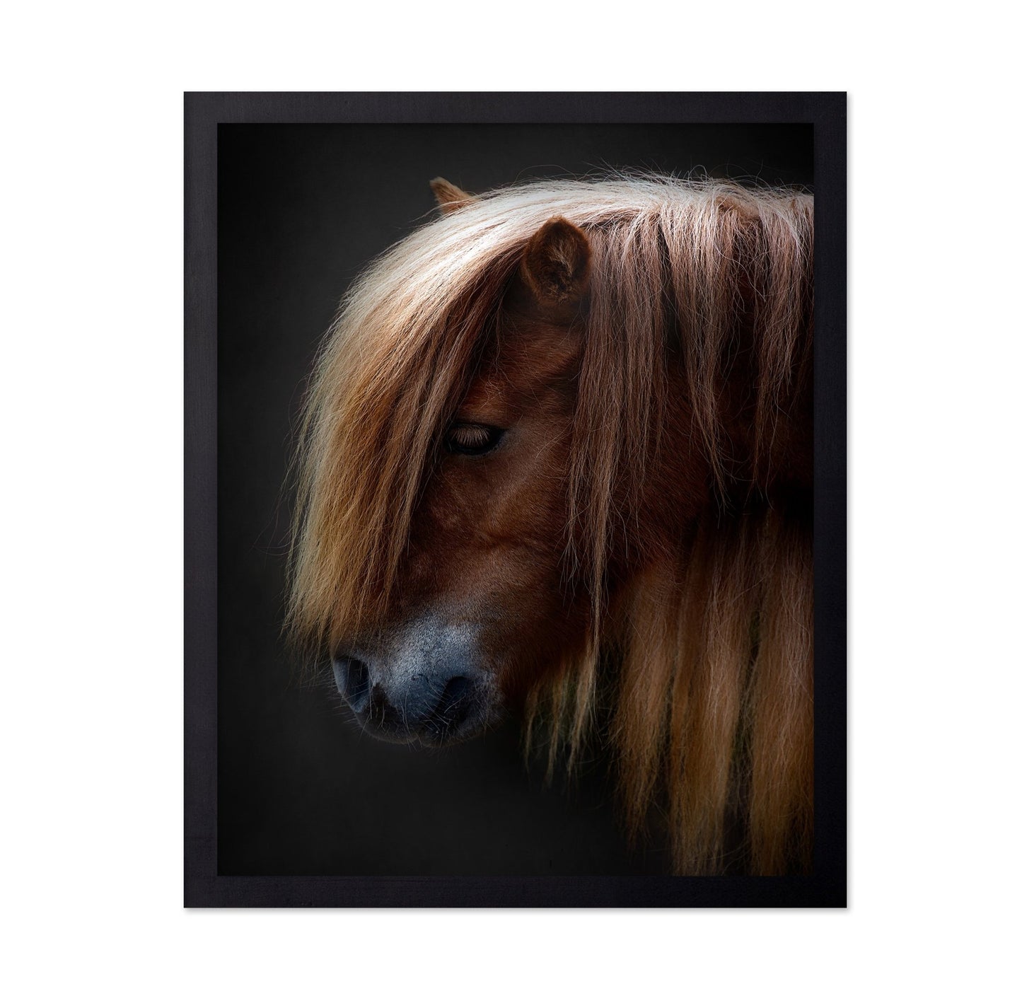 Chestnut Pony Portrait