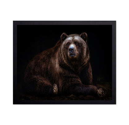 Bear Portrait
