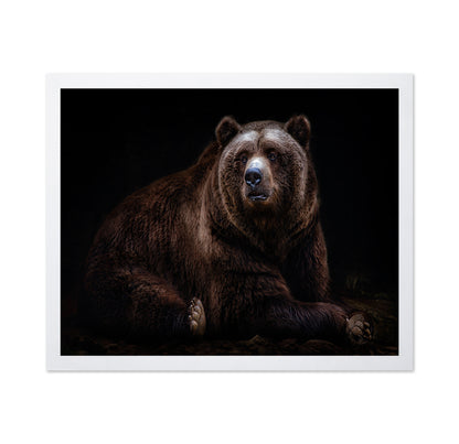 Bear Portrait