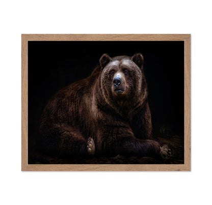 Bear Portrait