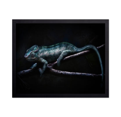 Dark Chameleon