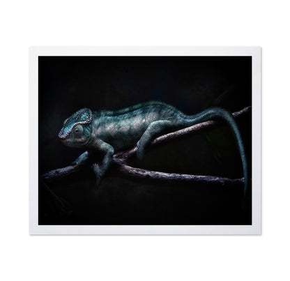 Dark Chameleon