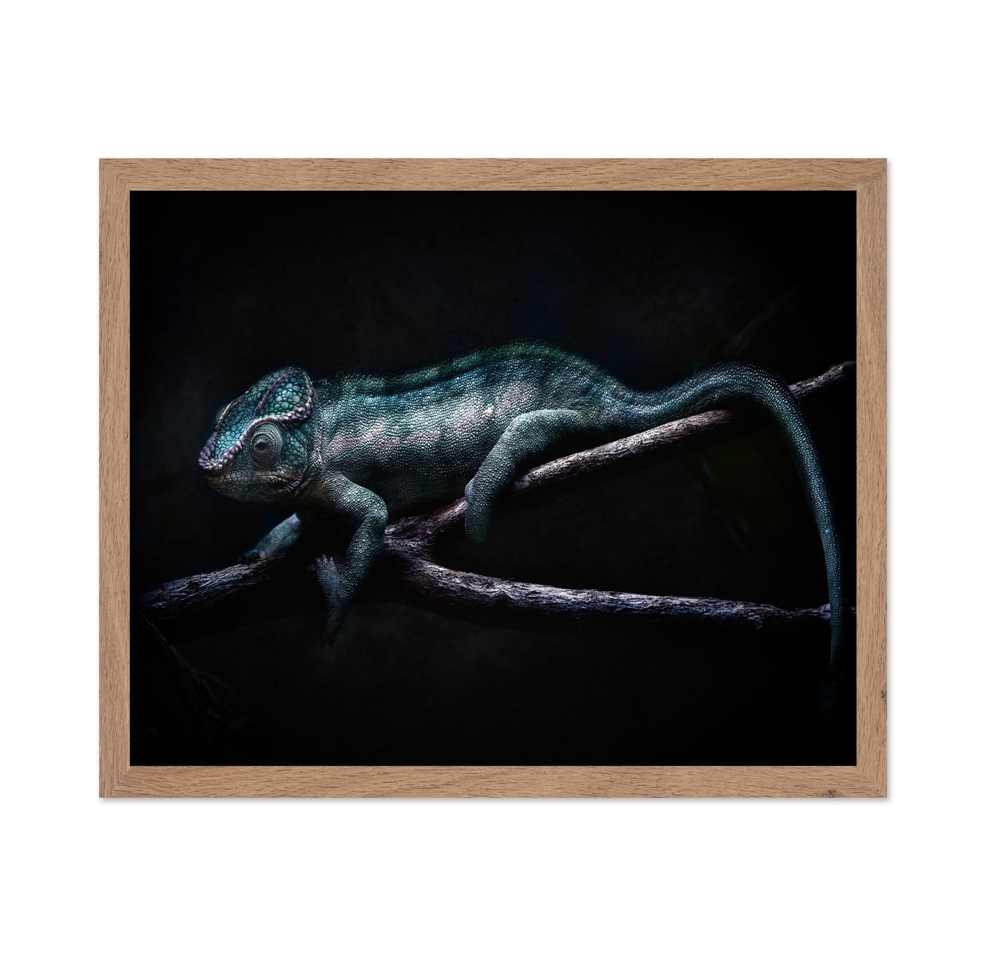 Dark Chameleon