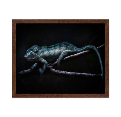 Dark Chameleon