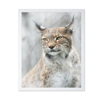 Lynx Portrait