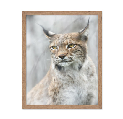 Lynx Portrait