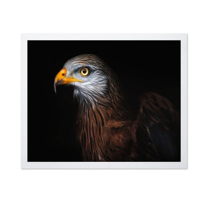 Majestic Eagle