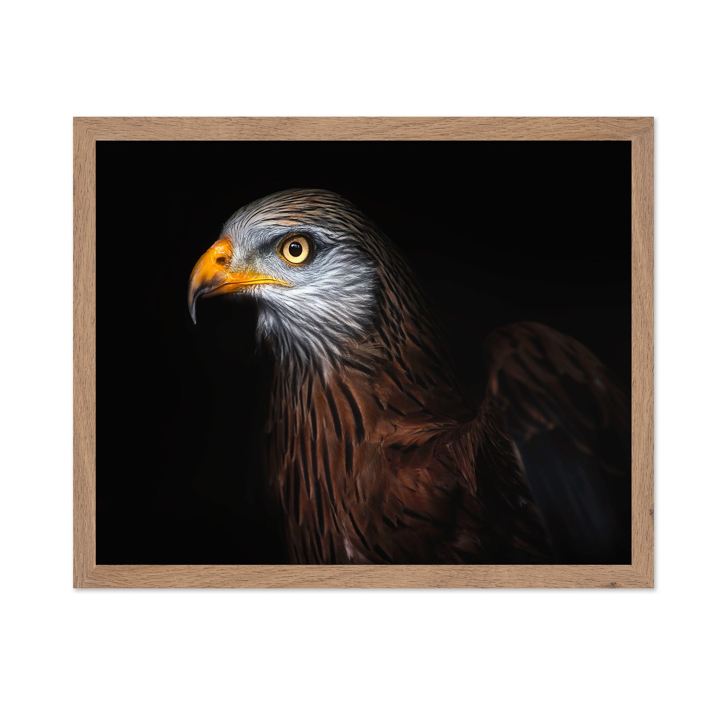 Majestic Eagle