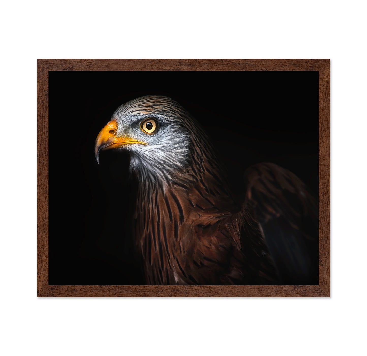 Majestic Eagle