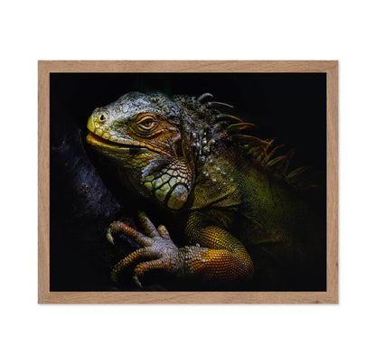 Golden Iguana