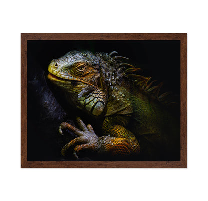 Golden Iguana