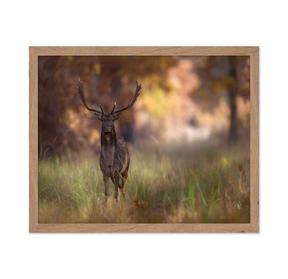 Autumn Deer