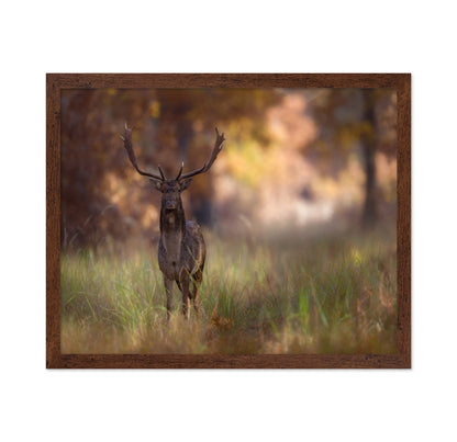 Autumn Deer