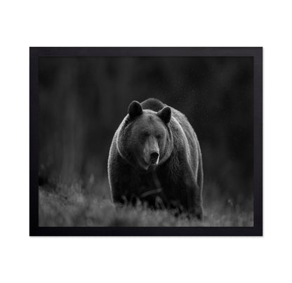 Silent Forest Bear