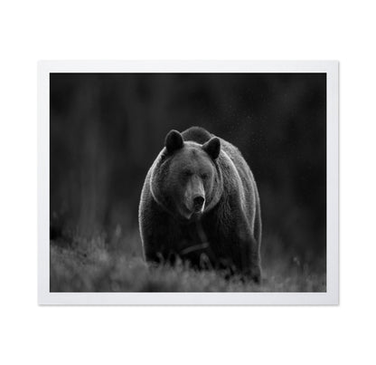Silent Forest Bear