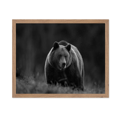 Silent Forest Bear