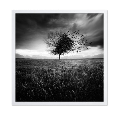 Tree Of Flying Shadows