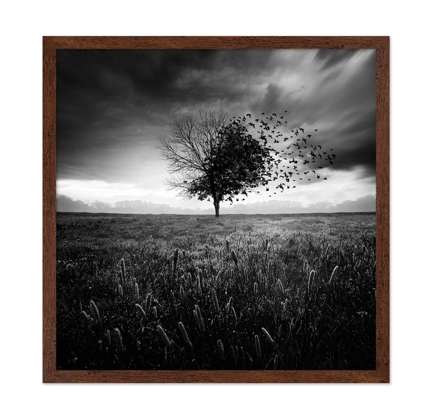 Tree Of Flying Shadows