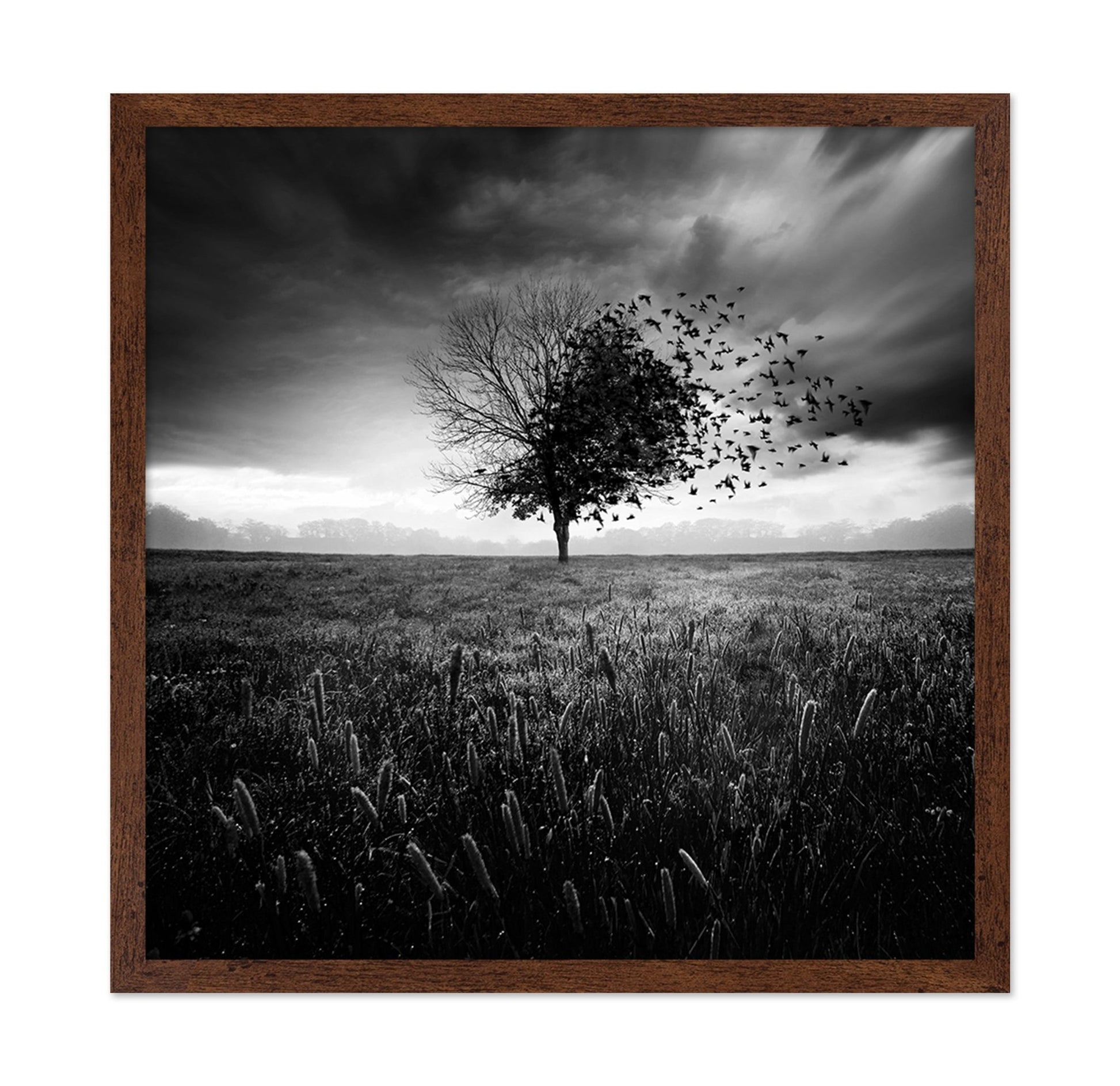 Tree Of Flying Shadows
