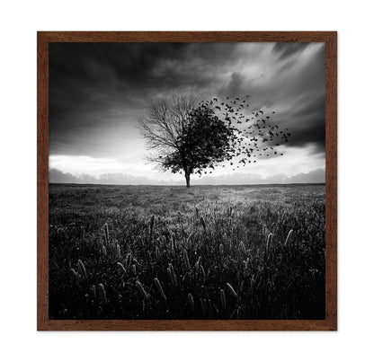 Tree Of Flying Shadows