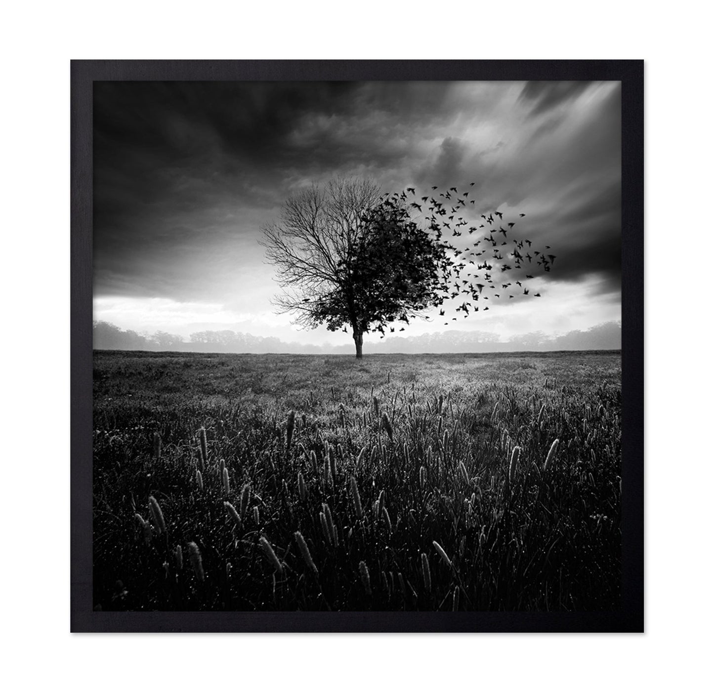 Tree Of Flying Shadows