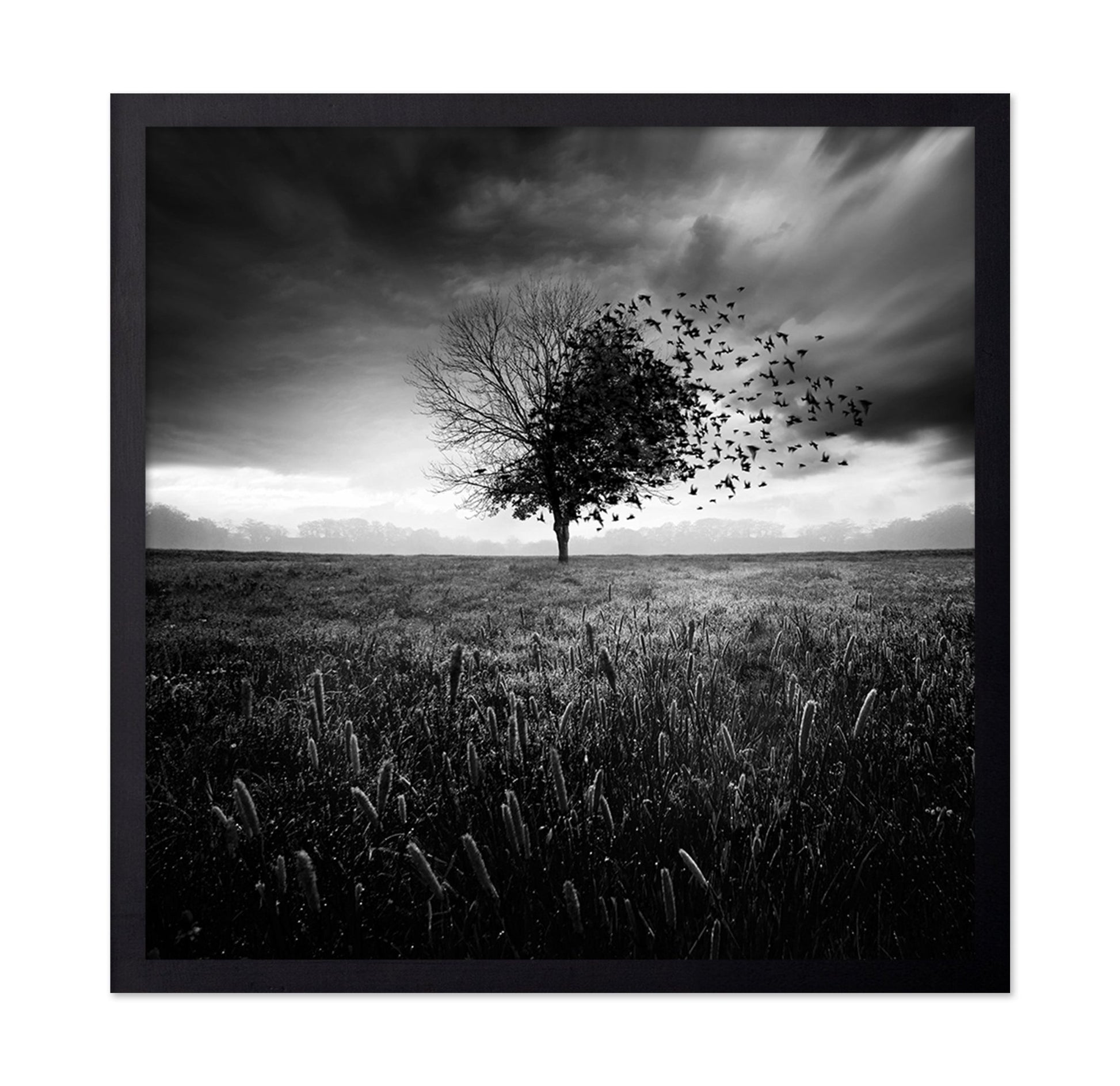 Tree Of Flying Shadows