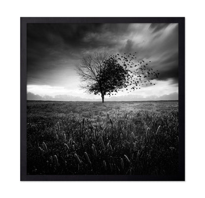 Tree Of Flying Shadows