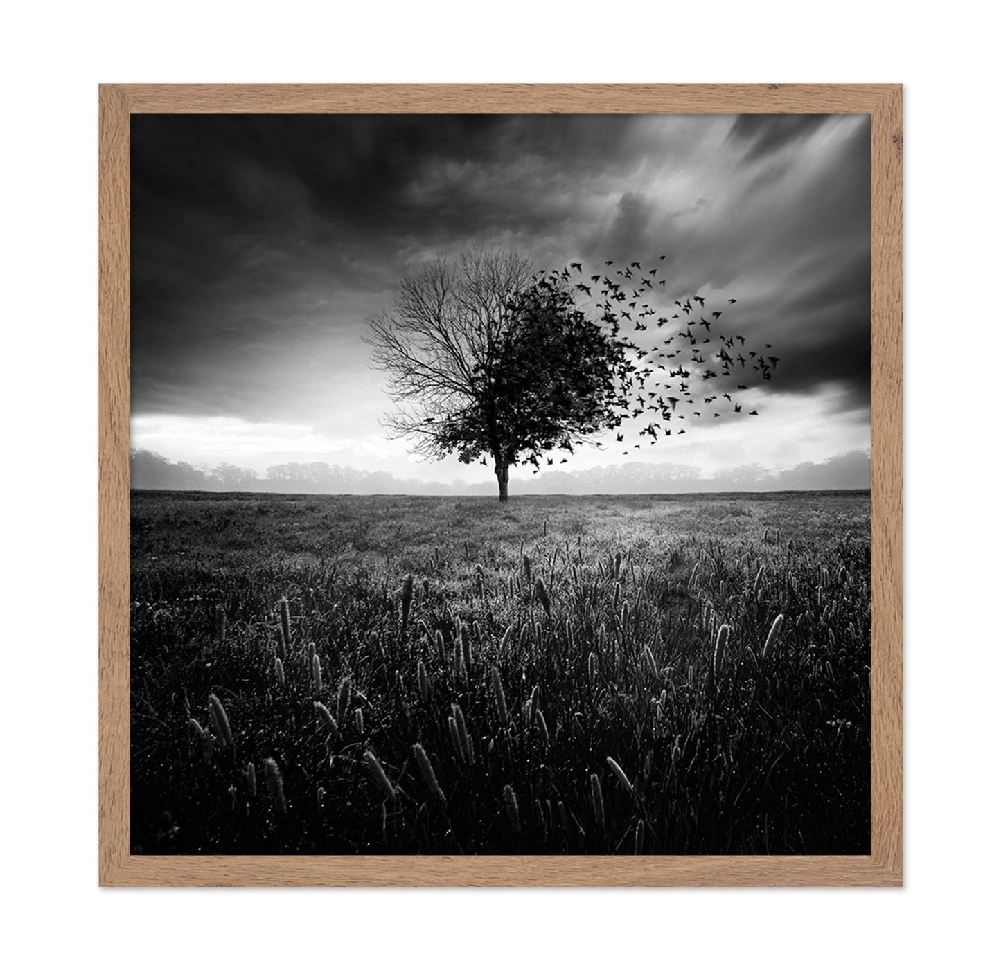 Tree Of Flying Shadows