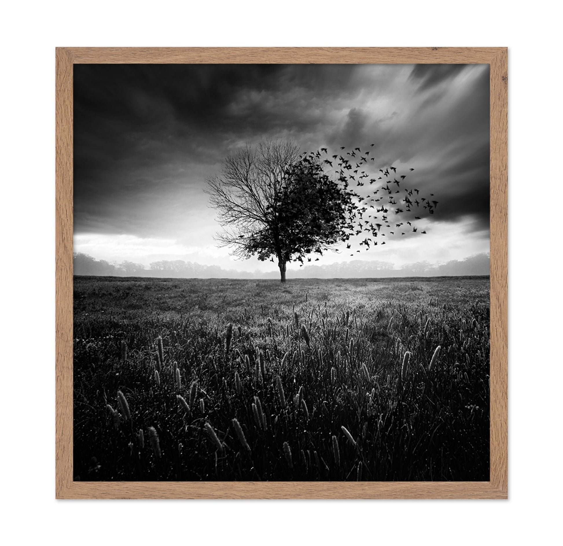 Tree Of Flying Shadows