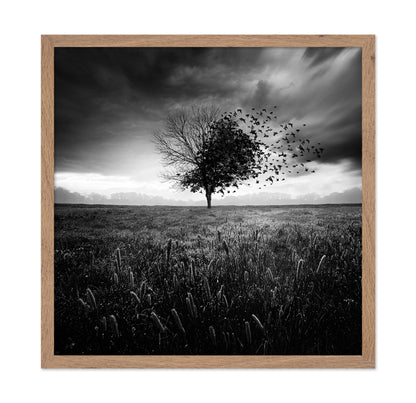 Tree Of Flying Shadows