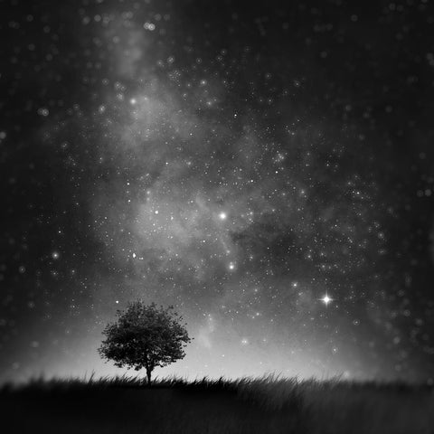 Lone Tree Night Sky No1