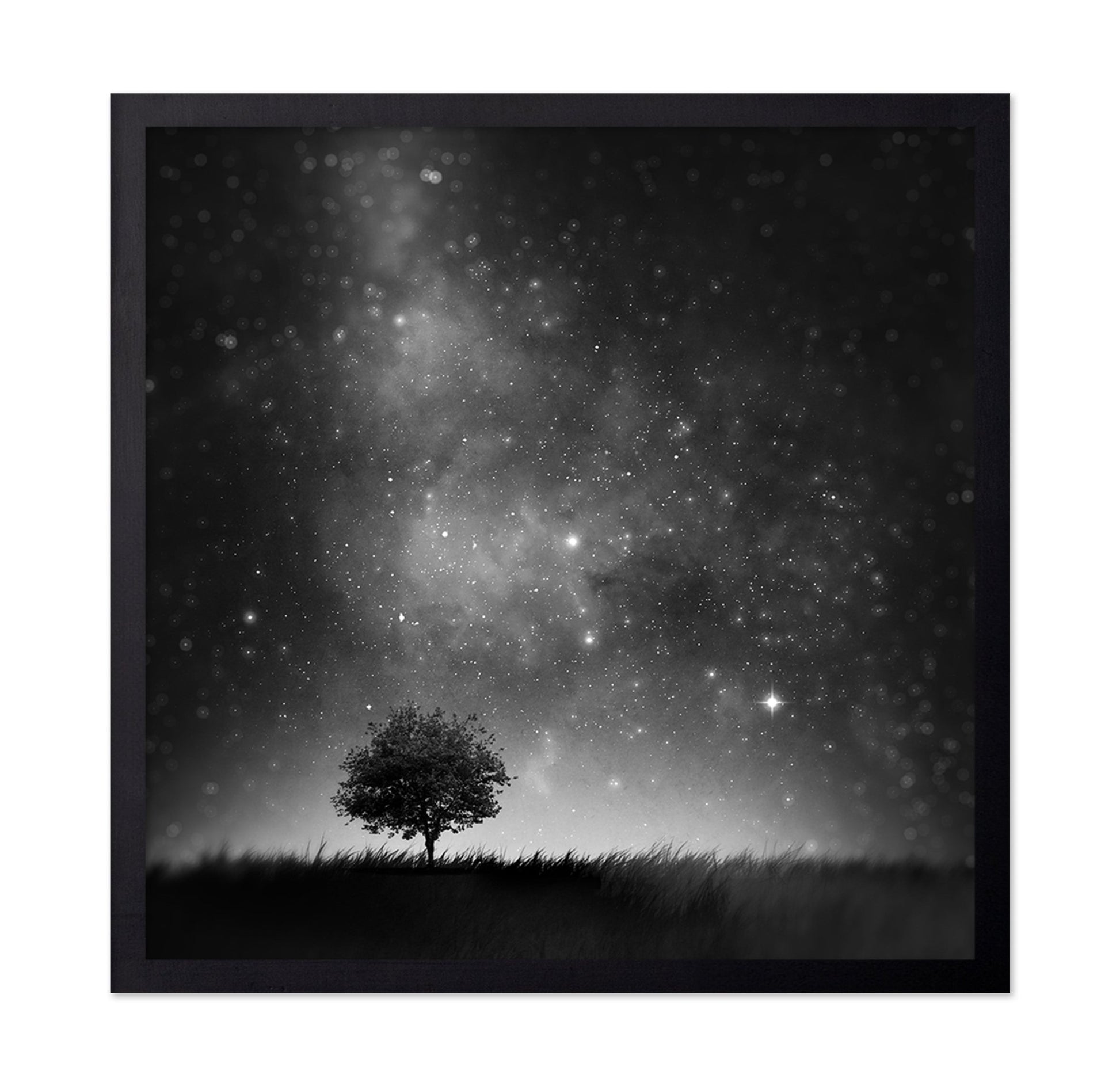 Lone Tree Night Sky No1