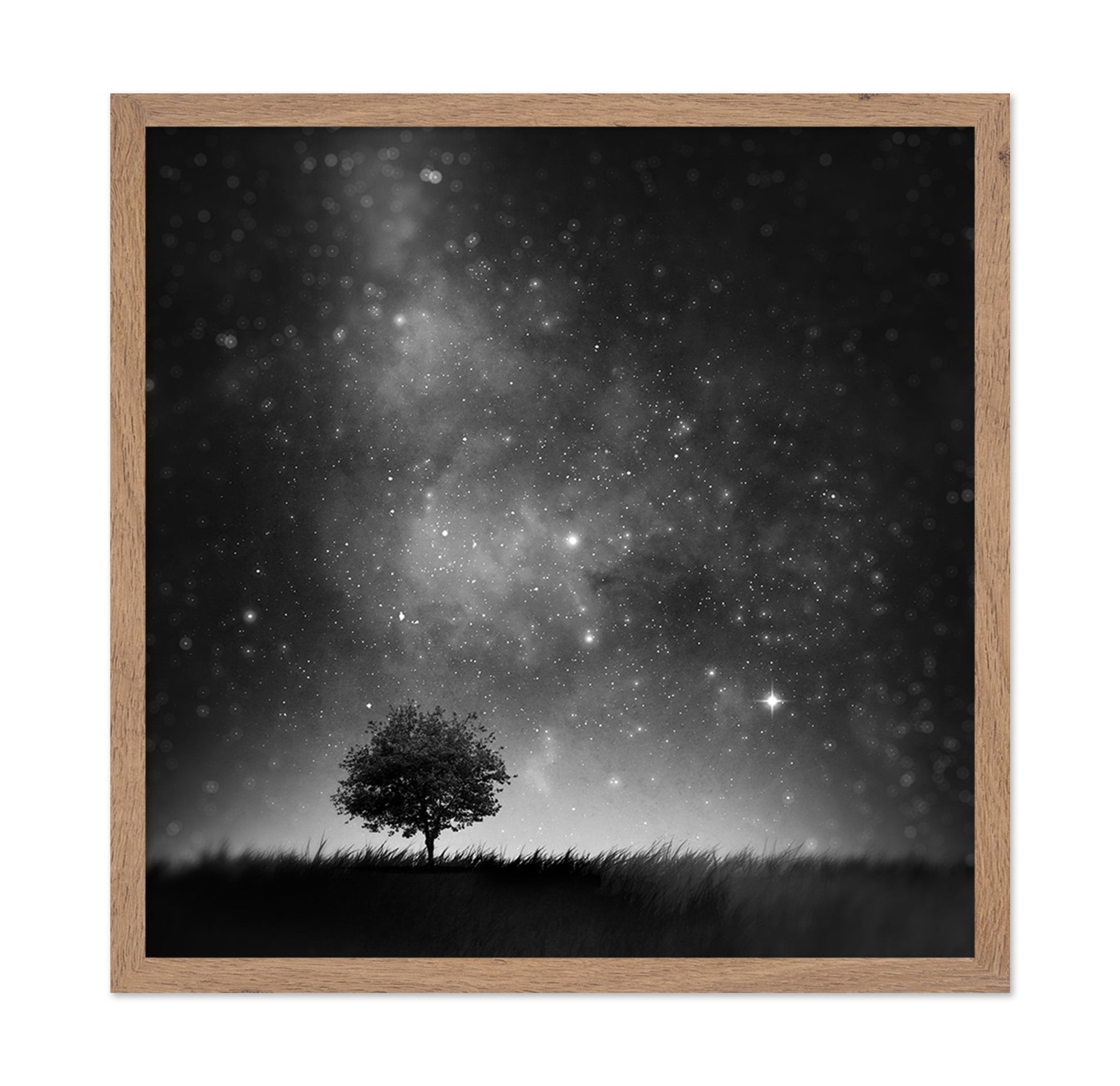 Lone Tree Night Sky No1