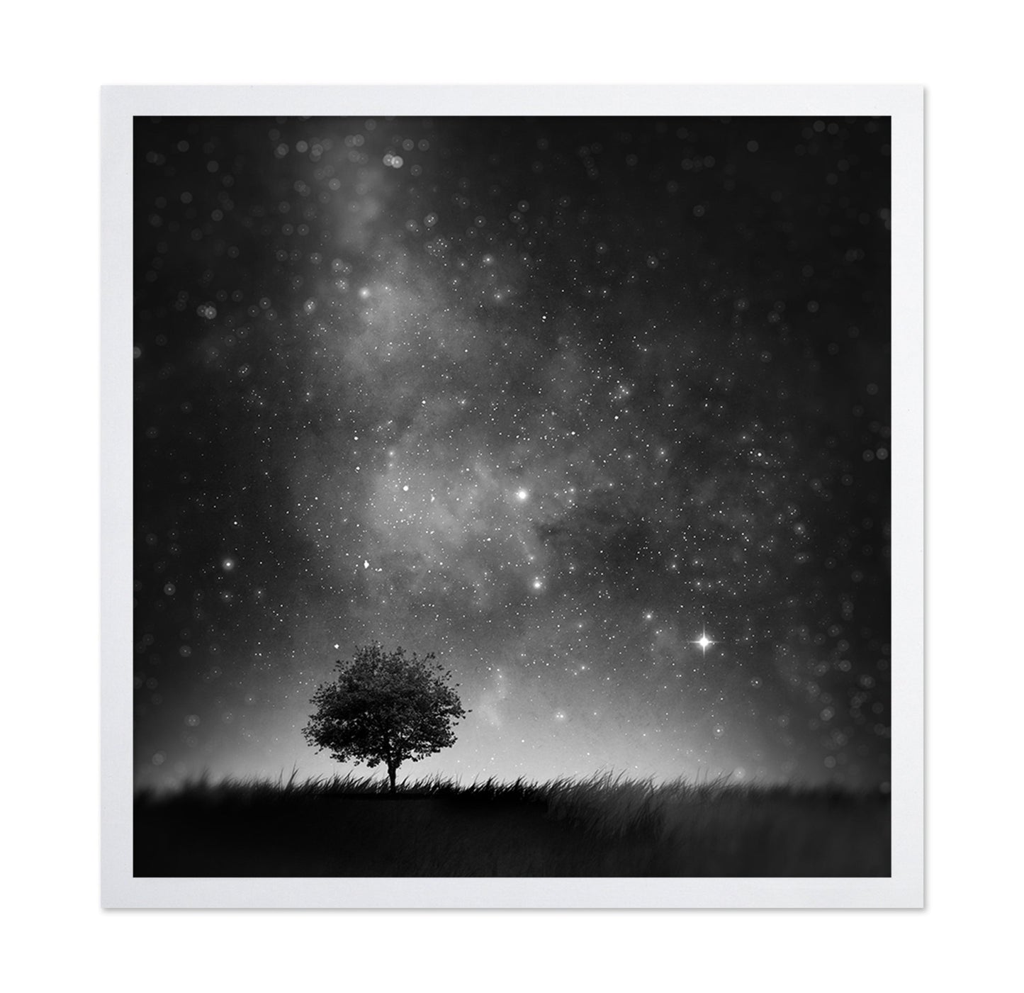 Lone Tree Night Sky No1