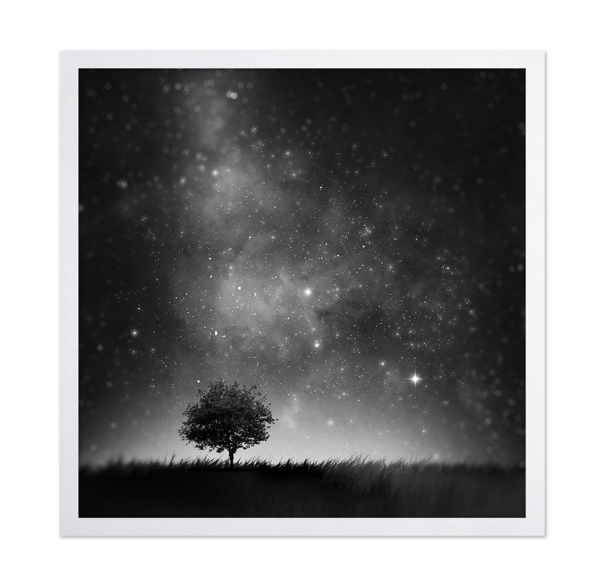 Lone Tree Night Sky No1