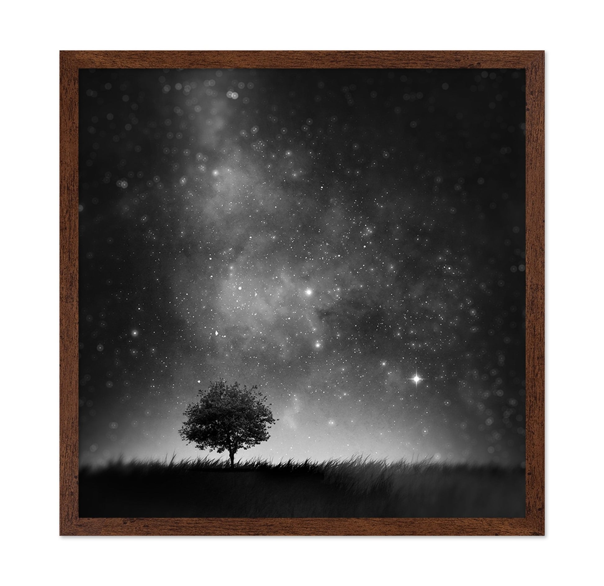 Lone Tree Night Sky No1