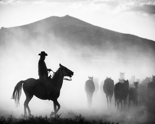 Dusty Herd Rider