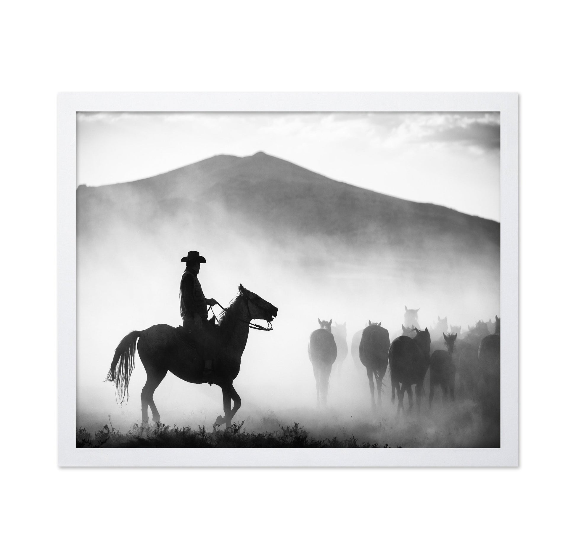 Dusty Herd Rider