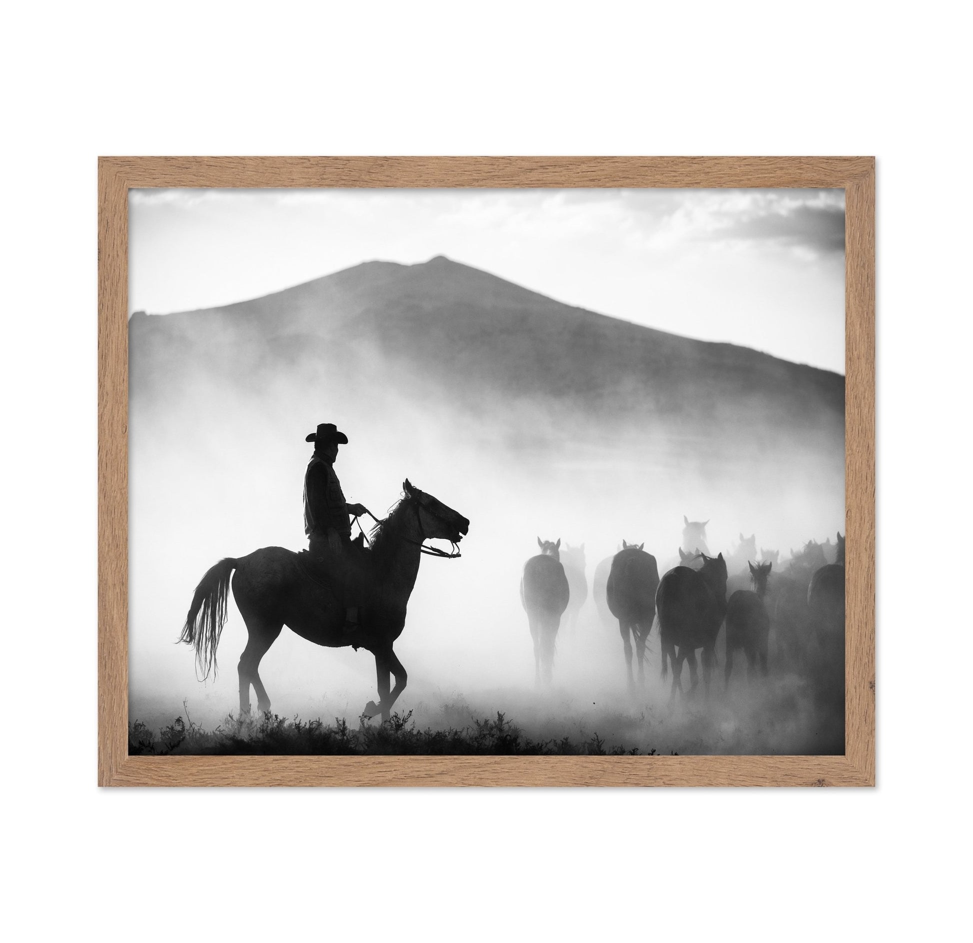 Dusty Herd Rider