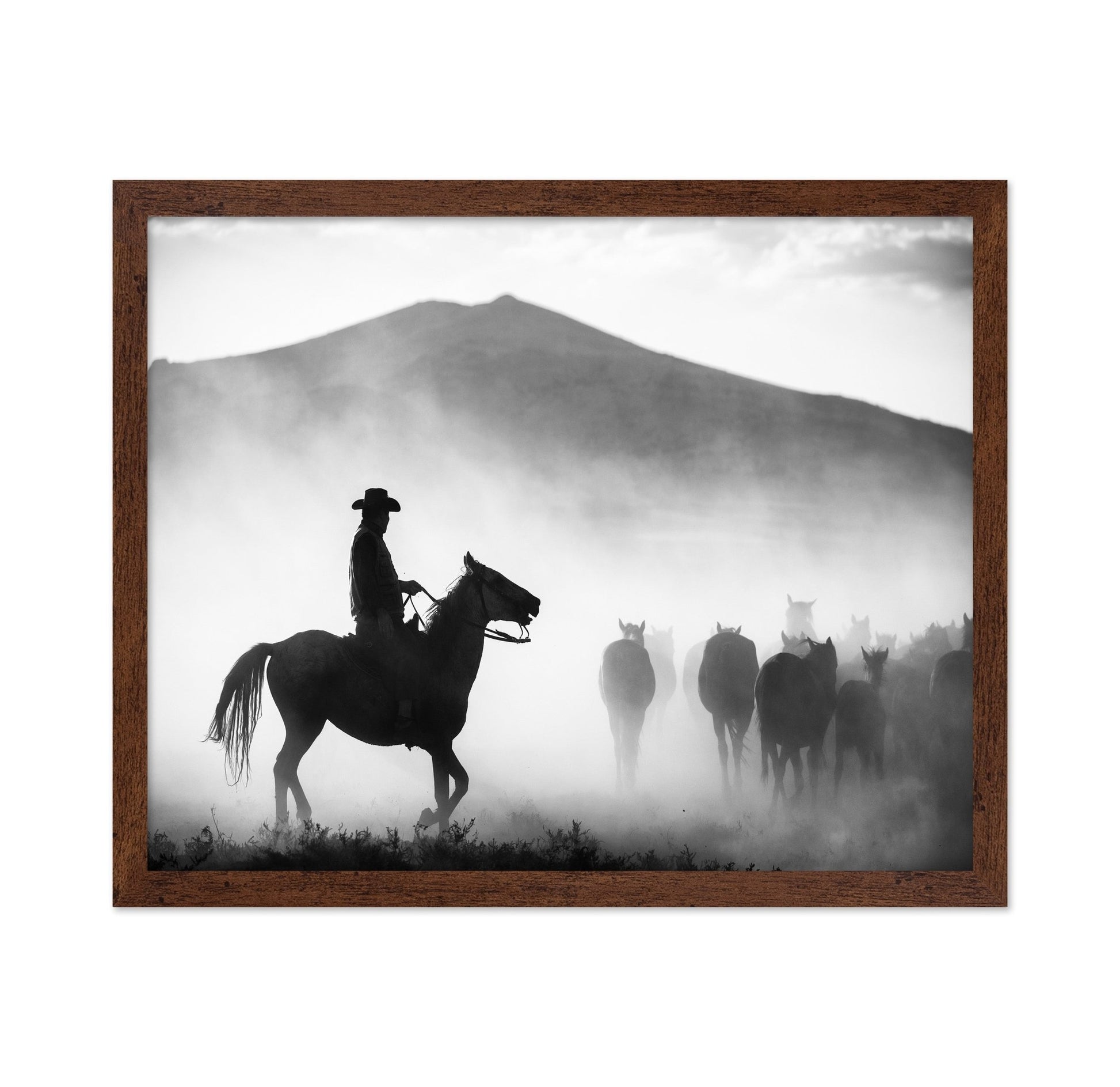 Dusty Herd Rider