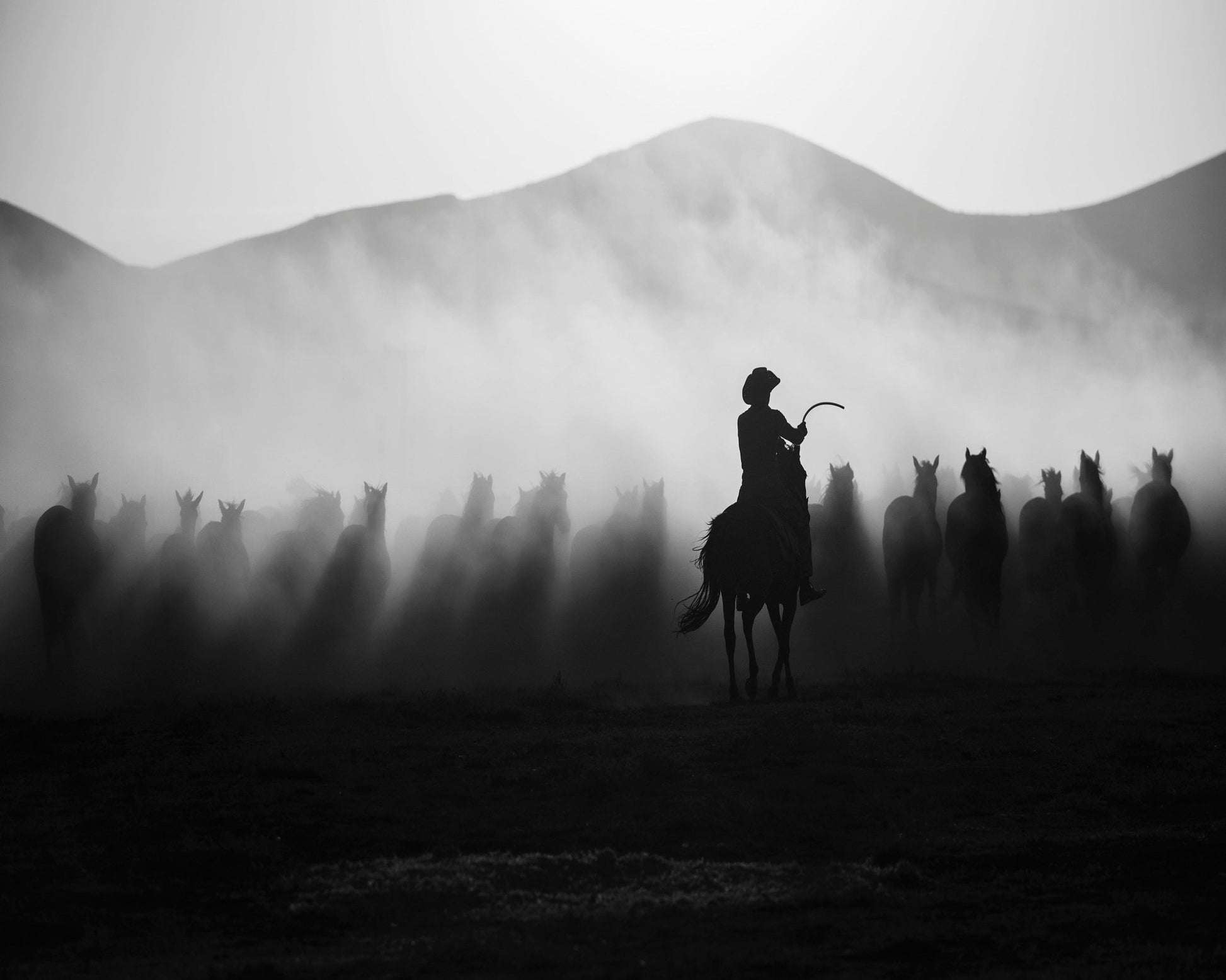 Cowboy Herd Silhouette