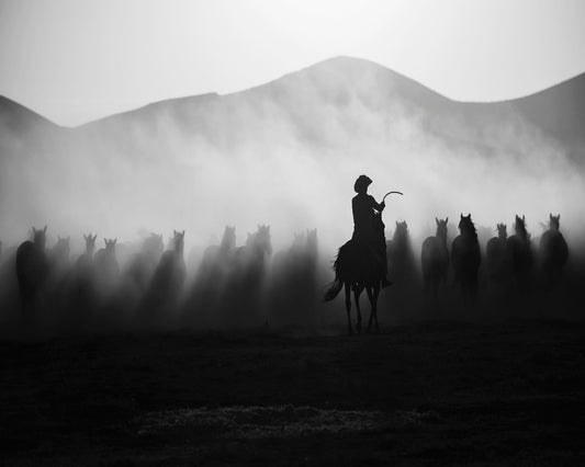 Cowboy Herd Silhouette