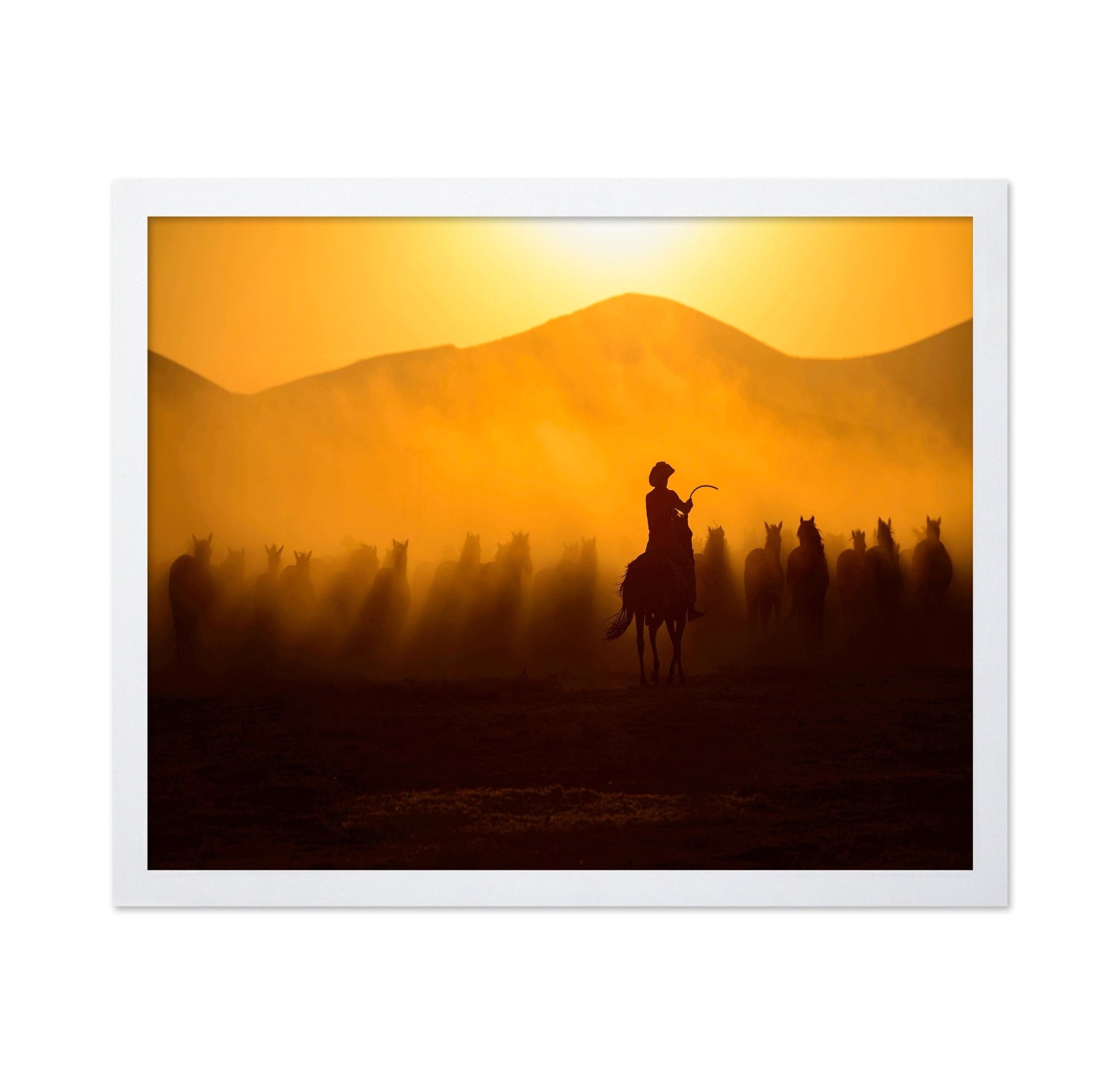 Cowboy Herd Sunset No2